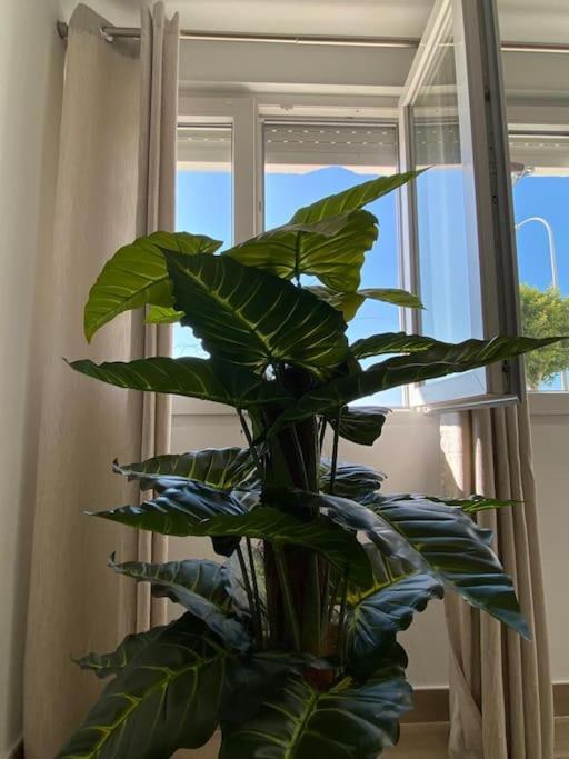 Apartament Sea Escape 2 Almuñécar Zewnętrze zdjęcie